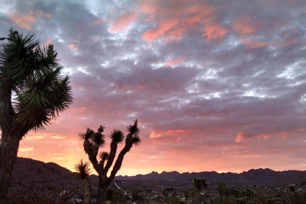 Steph'S Panorama Paradise-Nat'L Park Minutes Away Joshua Tree Dış mekan fotoğraf