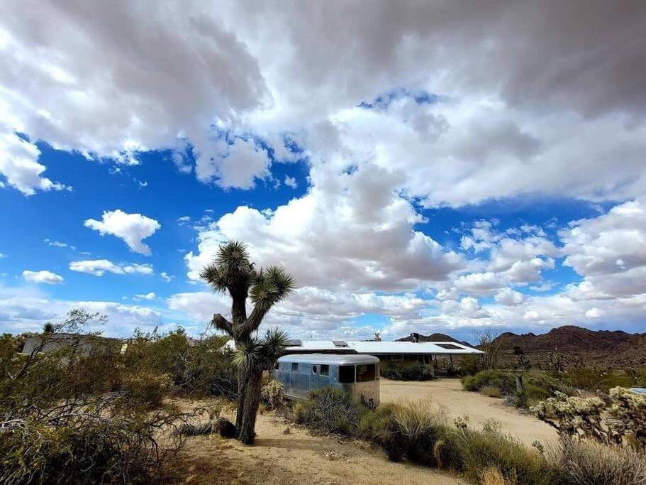 Steph'S Panorama Paradise-Nat'L Park Minutes Away Joshua Tree Dış mekan fotoğraf